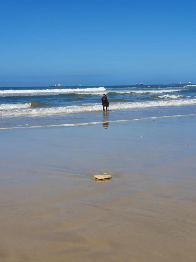 House Haven Guesthouse Port Elizabeth Dış mekan fotoğraf