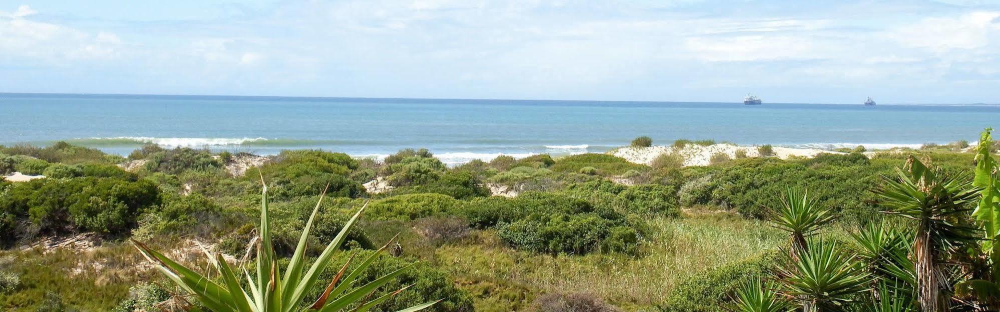 House Haven Guesthouse Port Elizabeth Dış mekan fotoğraf